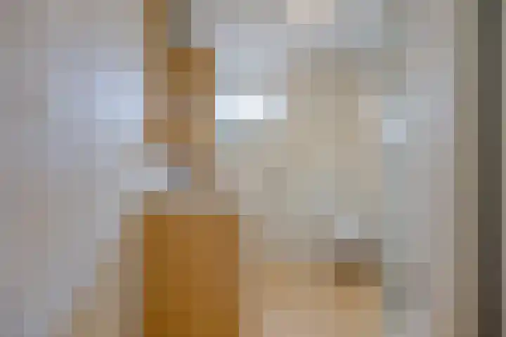Mars 4 Herveld thumbnail 19