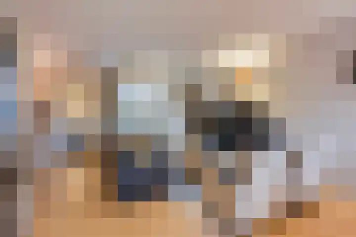 Mars 4 Herveld foto 2