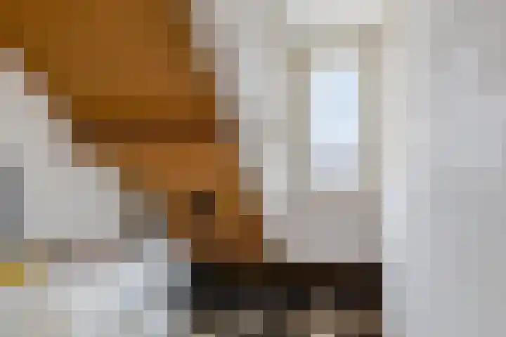 Mars 4 Herveld thumbnail 23
