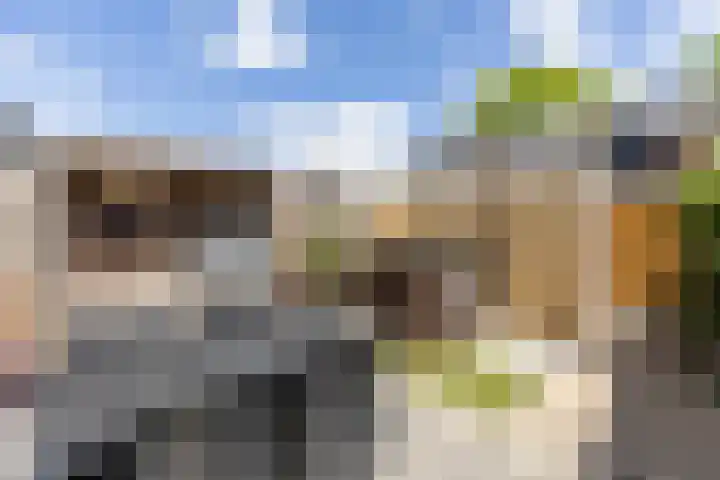Mars 4 Herveld thumbnail 27