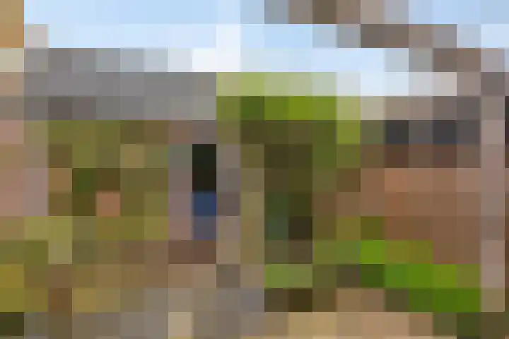 Mars 4 Herveld thumbnail 29