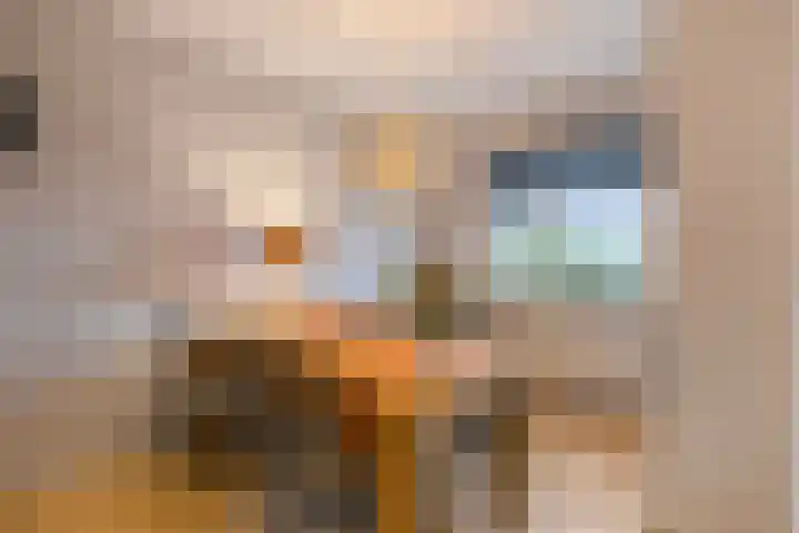 Mars 4 Herveld foto 3