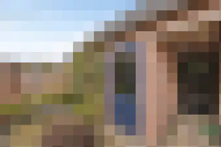 Mars 4 Herveld thumbnail 30