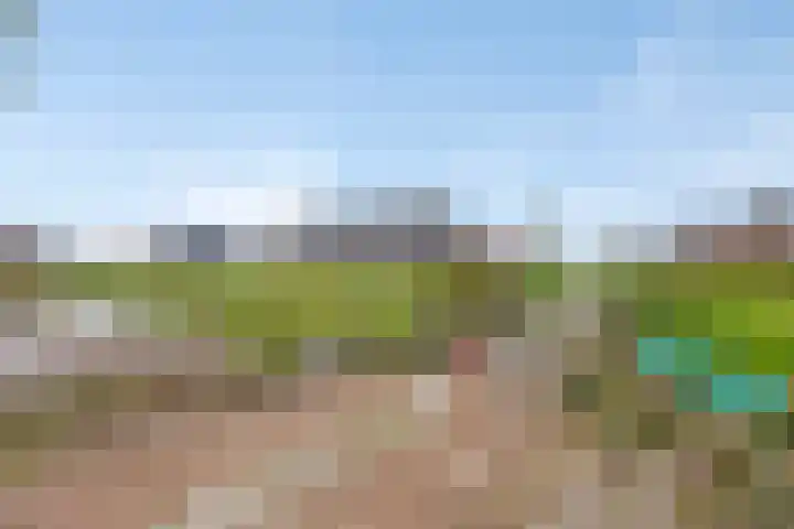 Mars 4 Herveld thumbnail 31