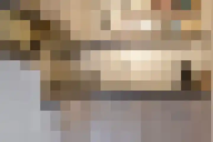 Mars 4 Herveld thumbnail 4