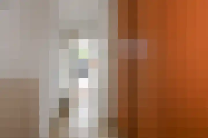 Mars 4 Herveld thumbnail 6