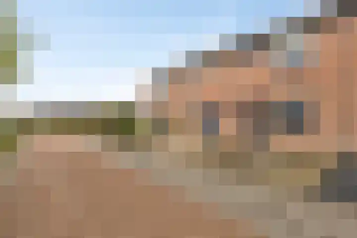 Mars 4 Herveld thumbnail 6