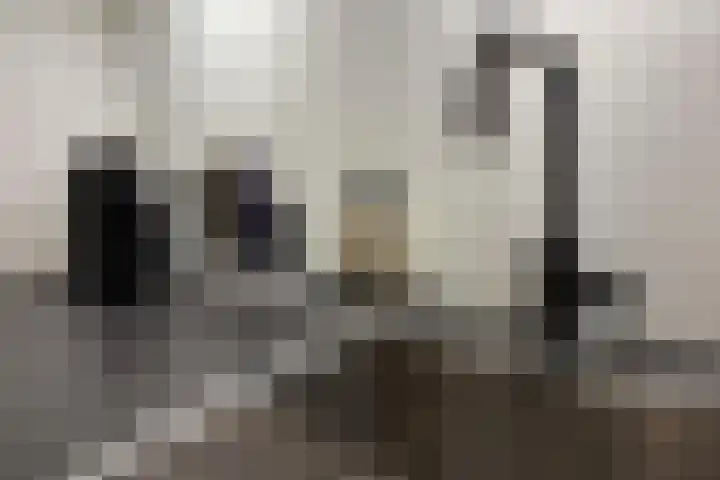 Mars 55 Oostburg thumbnail 13