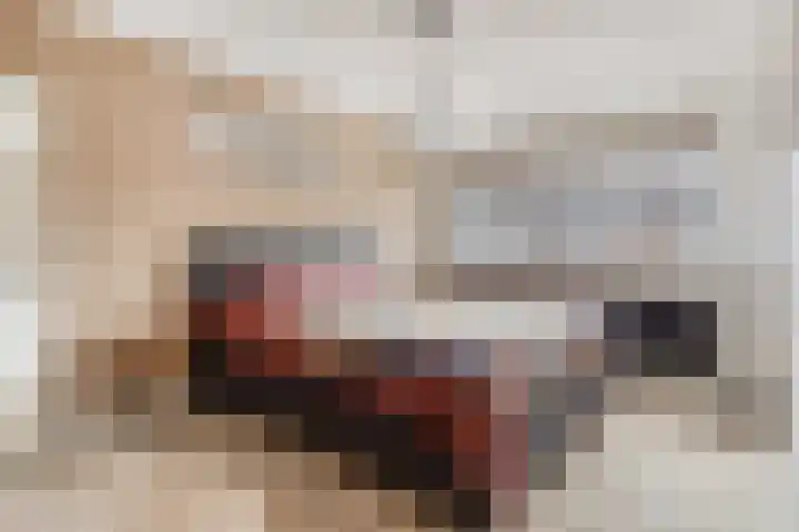 Mars 78 Oostburg thumbnail 16