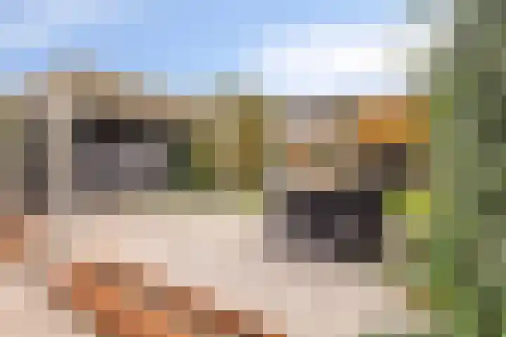 Mars 78 Oostburg thumbnail 28