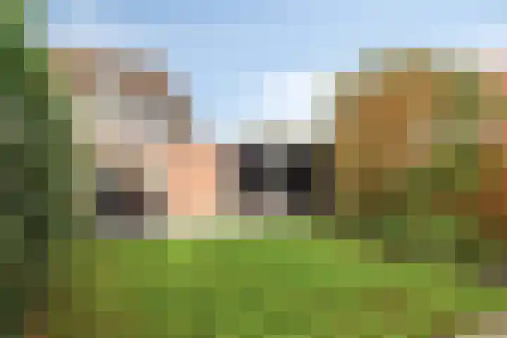 Mars 78 Oostburg thumbnail 31