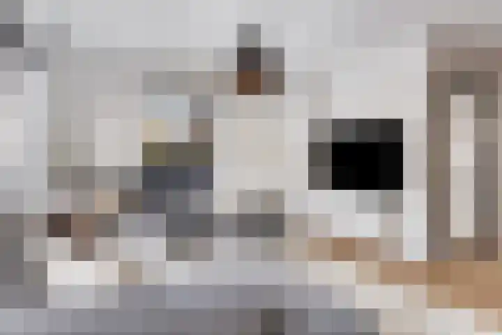 Mars 78 Oostburg thumbnail 7