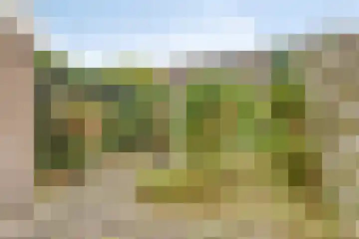 Mars 9 Duiven thumbnail 28