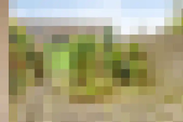 Mars 9 Duiven thumbnail 29