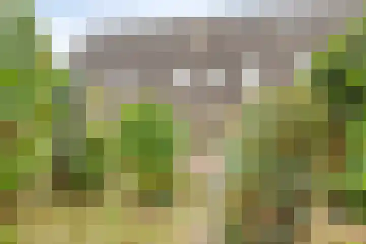 Mars 9 Duiven thumbnail 30