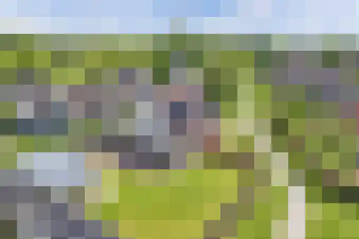Marsbaan 6 Franeker thumbnail 36