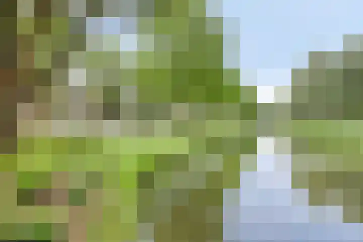 Marshallsingel 11 Amstelveen thumbnail 19