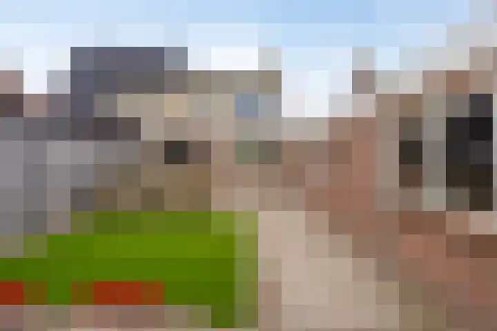 Marshallstraat 9 Oss thumbnail 21