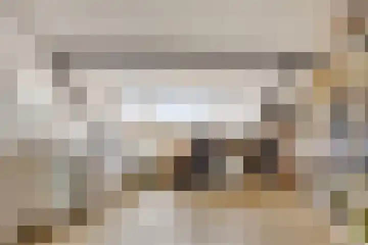 Marshallstraat 9 Oss thumbnail 24