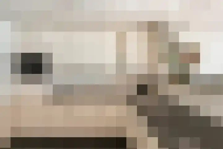 Marshallstraat 9 Oss thumbnail 28