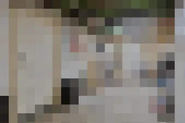 Marshallstraat 9 Oss thumbnail 28