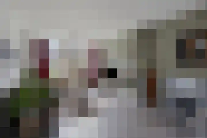 Marshallstraat 9 Oss thumbnail 5