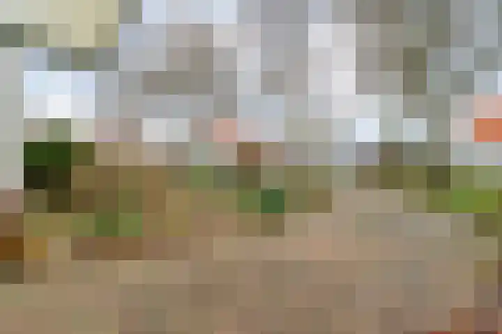 Marshovenlaan 16 Coevorden thumbnail 11