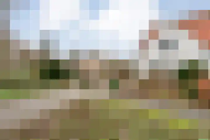 Marshovenlaan 16 Coevorden thumbnail 8