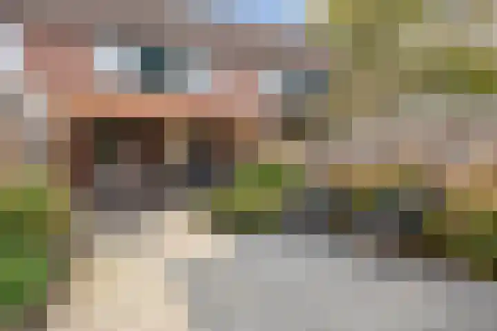 Marskamp 3 Assendelft thumbnail 10