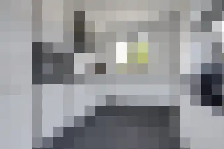 Marskramer 117 Wijchen thumbnail 14
