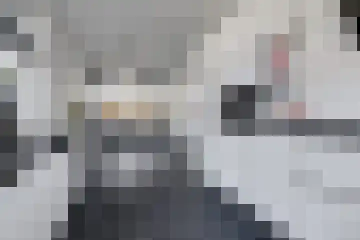 Marskramer 117 Wijchen thumbnail 16