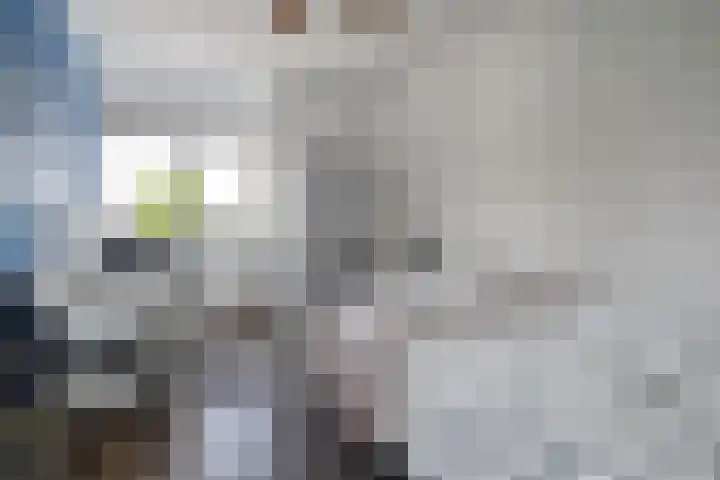 Marskramer 117 Wijchen thumbnail 23