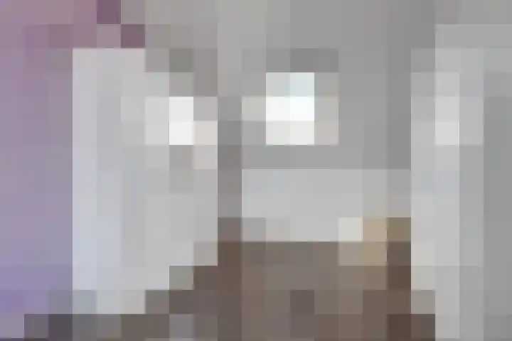Marskramer 117 Wijchen thumbnail 27