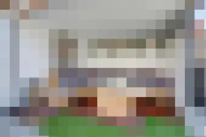 Marskramer 117 Wijchen thumbnail 33