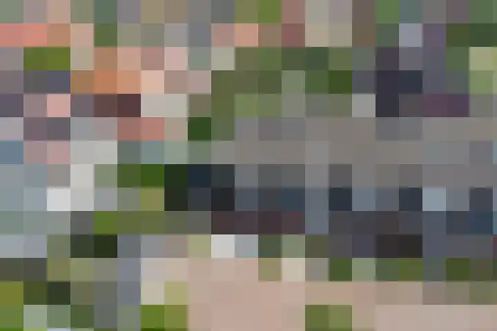 Marskramer 117 Wijchen thumbnail 35
