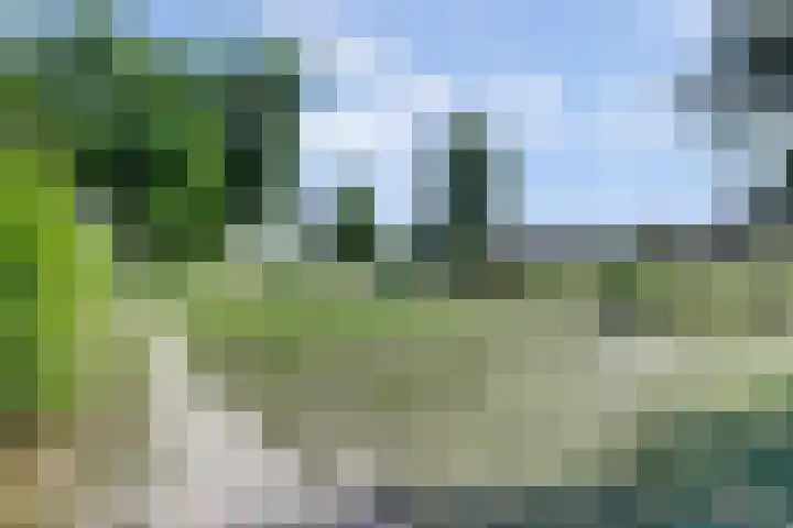 Marskramer 117 Wijchen thumbnail 36