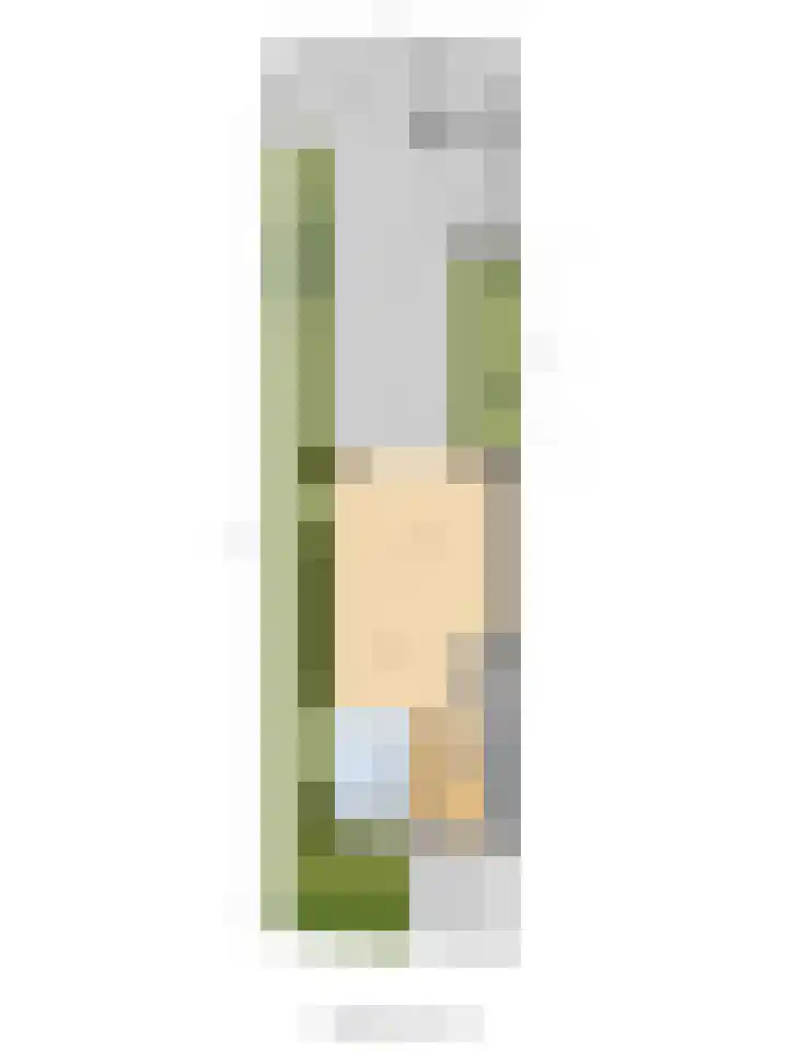 Marskramer 117 Wijchen thumbnail 40