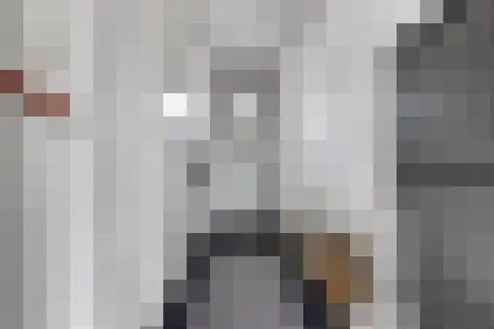 Marskramer 117 Wijchen thumbnail 7