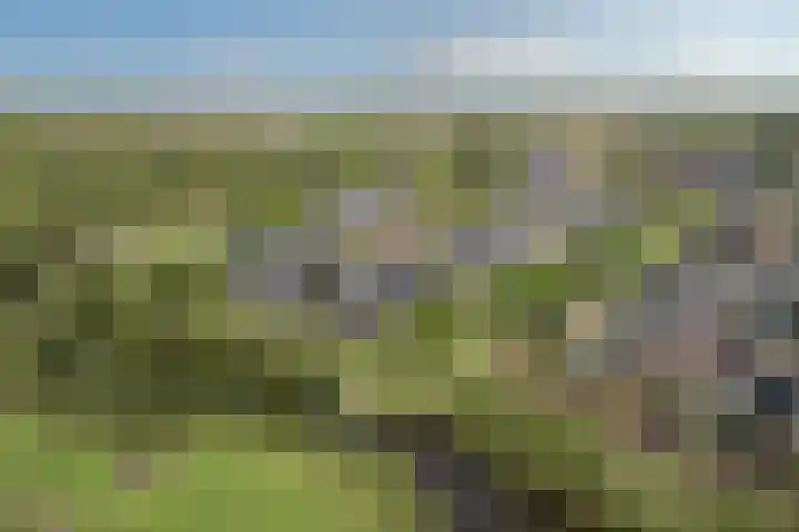 Marskramer 21 Wijchen thumbnail 4