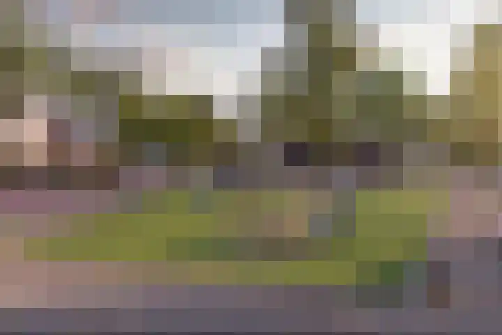 Marskramer 21 Wijchen thumbnail 5