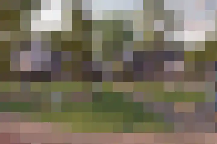 Marskramer 23 Wijchen thumbnail 8