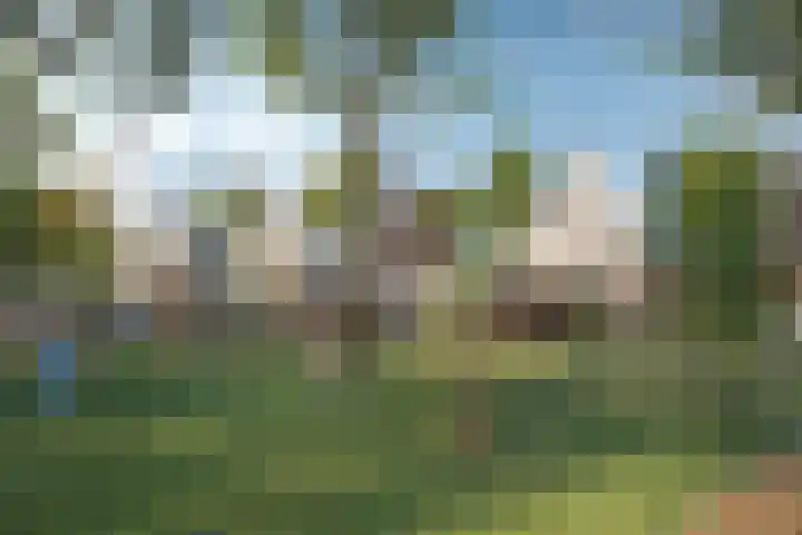 Marskramer 29 Wijchen thumbnail 13