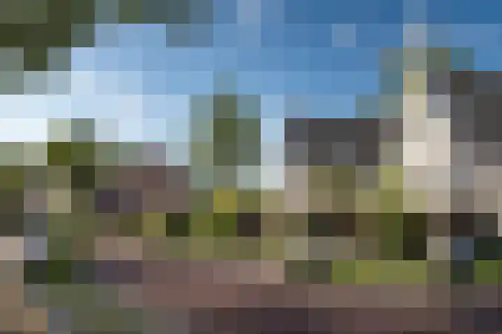 Marskramer 29 Wijchen thumbnail 9