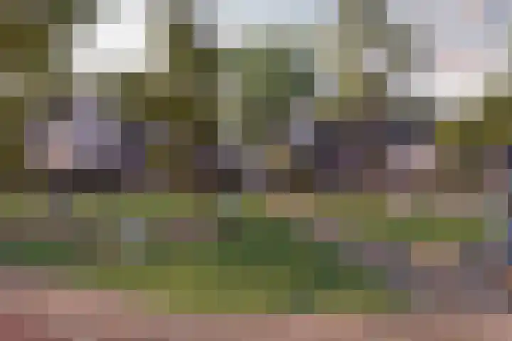 Marskramer 33 Wijchen thumbnail 10