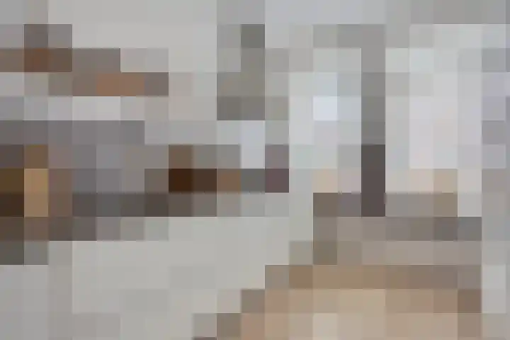 Marskramer 43 Wijchen thumbnail 5