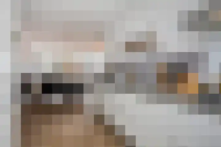 Marskramer 43 Wijchen thumbnail 6