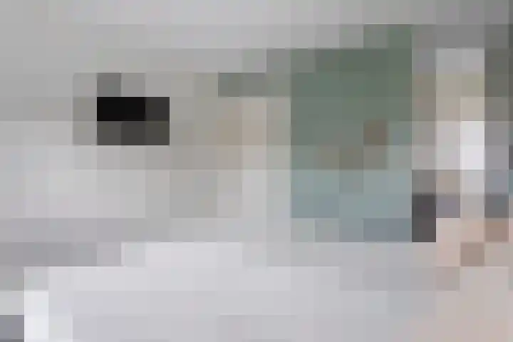 Marskramer 7 Oldenzaal thumbnail 14