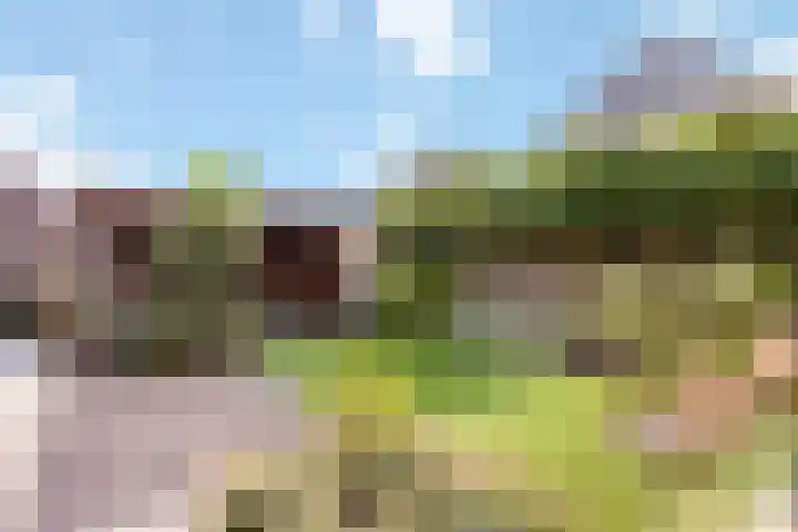 Marskramer 7 Oldenzaal thumbnail 20