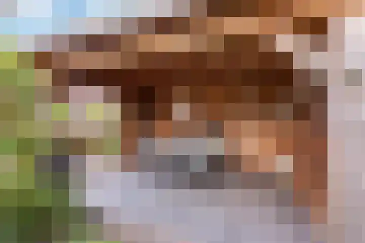 Marskramer 7 Oldenzaal thumbnail 21