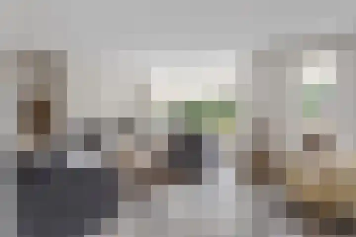 Marskramer 7 Oldenzaal thumbnail 6